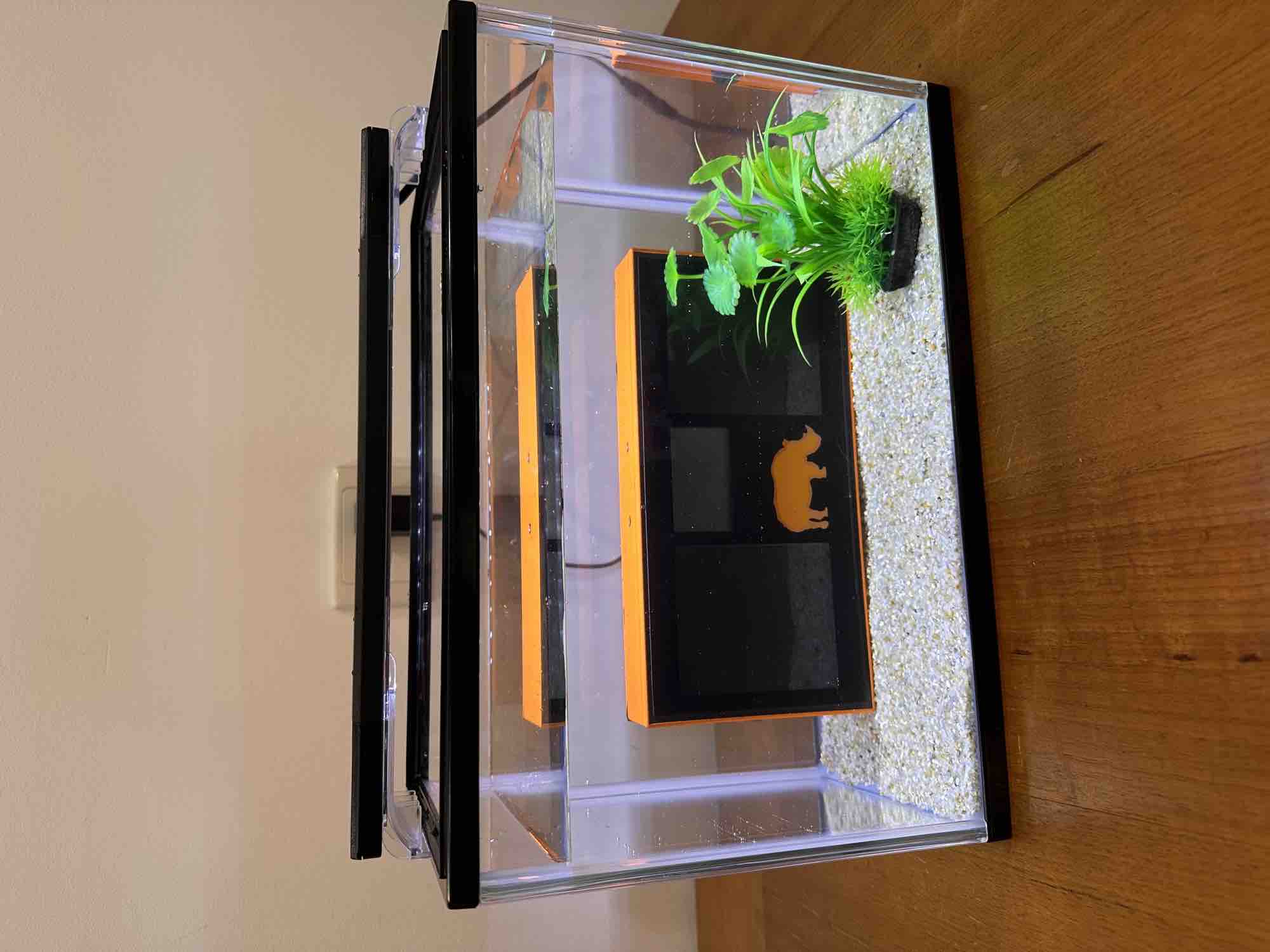 RM2 displayed underwater in aquarium for AORA 2026 exhibition